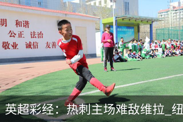 英超彩经：热刺主场难敌维拉 纽卡斯尔全取三分
